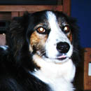 Katrina was adopted in December, 2005